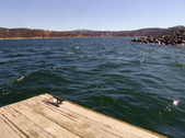 Enlarge photo 103