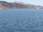 Enlarge photo 61