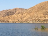 Enlarge photo 62