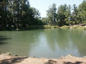 Enlarge photo 3