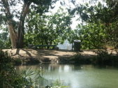 Enlarge photo 18