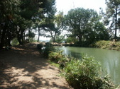 Enlarge photo 19