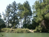 ERNEST DEBS PARK