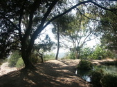 Enlarge photo 24