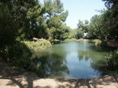 Enlarge photo 26