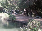 Enlarge photo 29