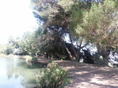 Enlarge photo 30