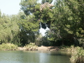 Enlarge photo 31