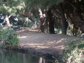 Enlarge photo 32