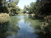 Enlarge photo 33