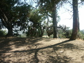 Enlarge photo 35