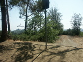 Enlarge photo 36