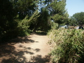 Enlarge photo 38
