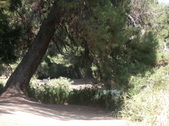 Enlarge photo 39