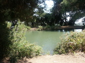 Enlarge photo 41