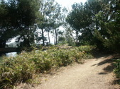 Enlarge photo 42