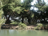 Enlarge photo 44