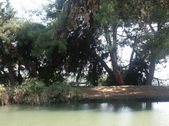 Enlarge photo 45