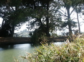 Enlarge photo 46