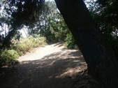 Enlarge photo 47