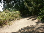 Enlarge photo 48