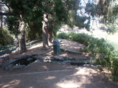 Enlarge photo 49