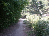 Enlarge photo 50