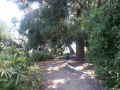 Enlarge photo 51