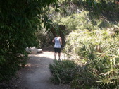 Enlarge photo 52