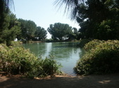 Enlarge photo 54