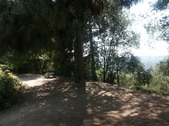 Enlarge photo 55