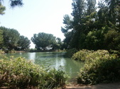 Enlarge photo 56