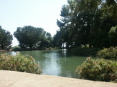 Enlarge photo 57
