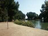 Enlarge photo 58