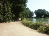 Enlarge photo 60