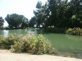 Enlarge photo 61