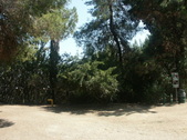 Enlarge photo 62