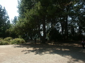 Enlarge photo 64