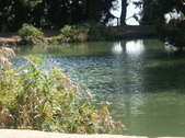 Enlarge photo 65