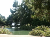 Enlarge photo 66