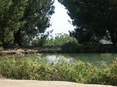 Enlarge photo 67