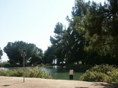 Enlarge photo 70