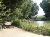 Enlarge photo 71