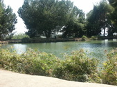 Enlarge photo 72