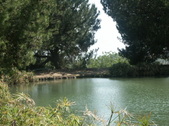 Enlarge photo 73