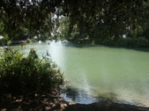 Enlarge photo 74