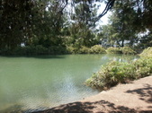 Enlarge photo 75