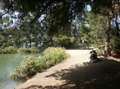 Enlarge photo 76