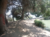 Enlarge photo 77