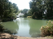 Enlarge photo 78